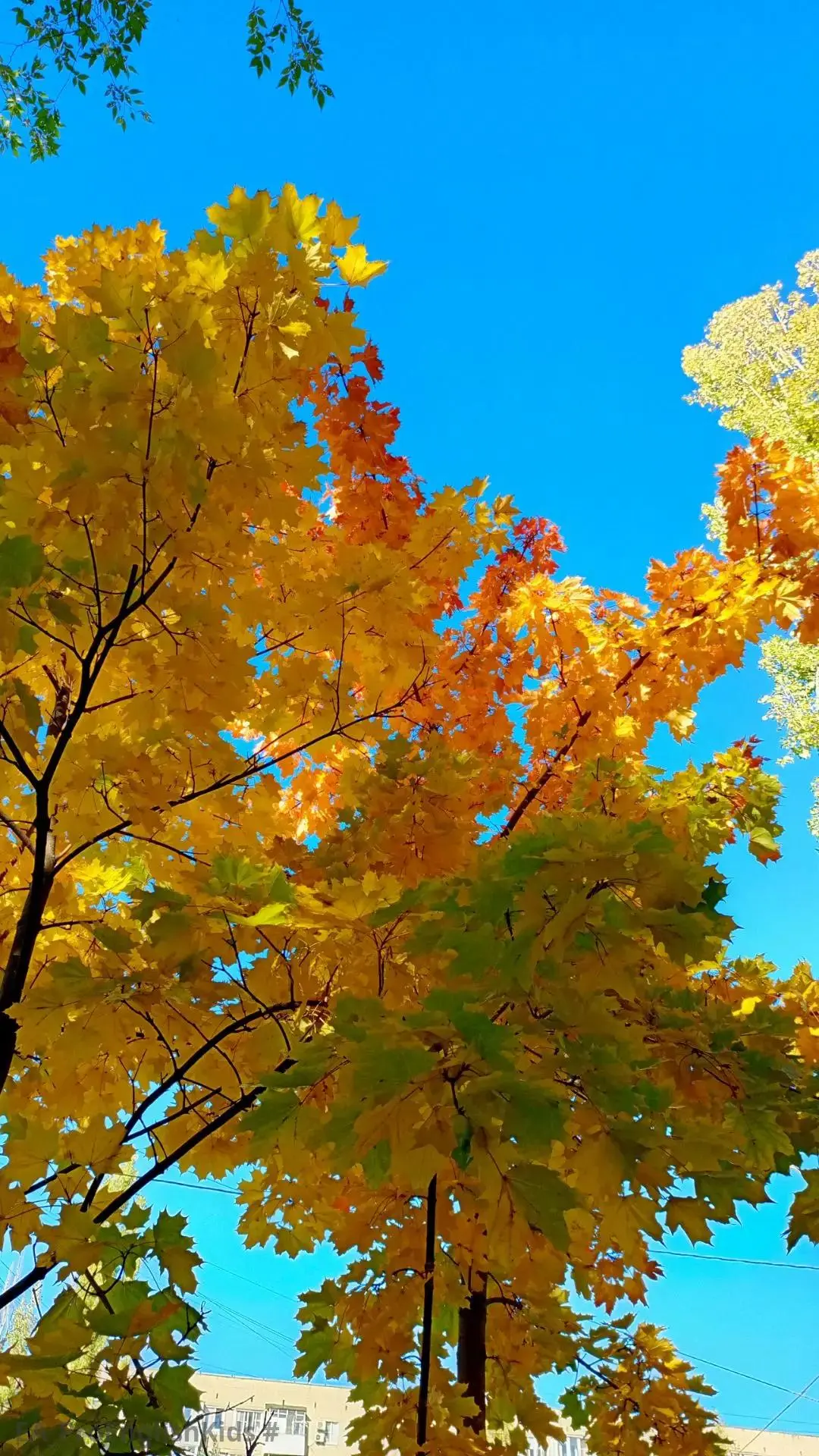 A breath of fresh autumn air. 🍁