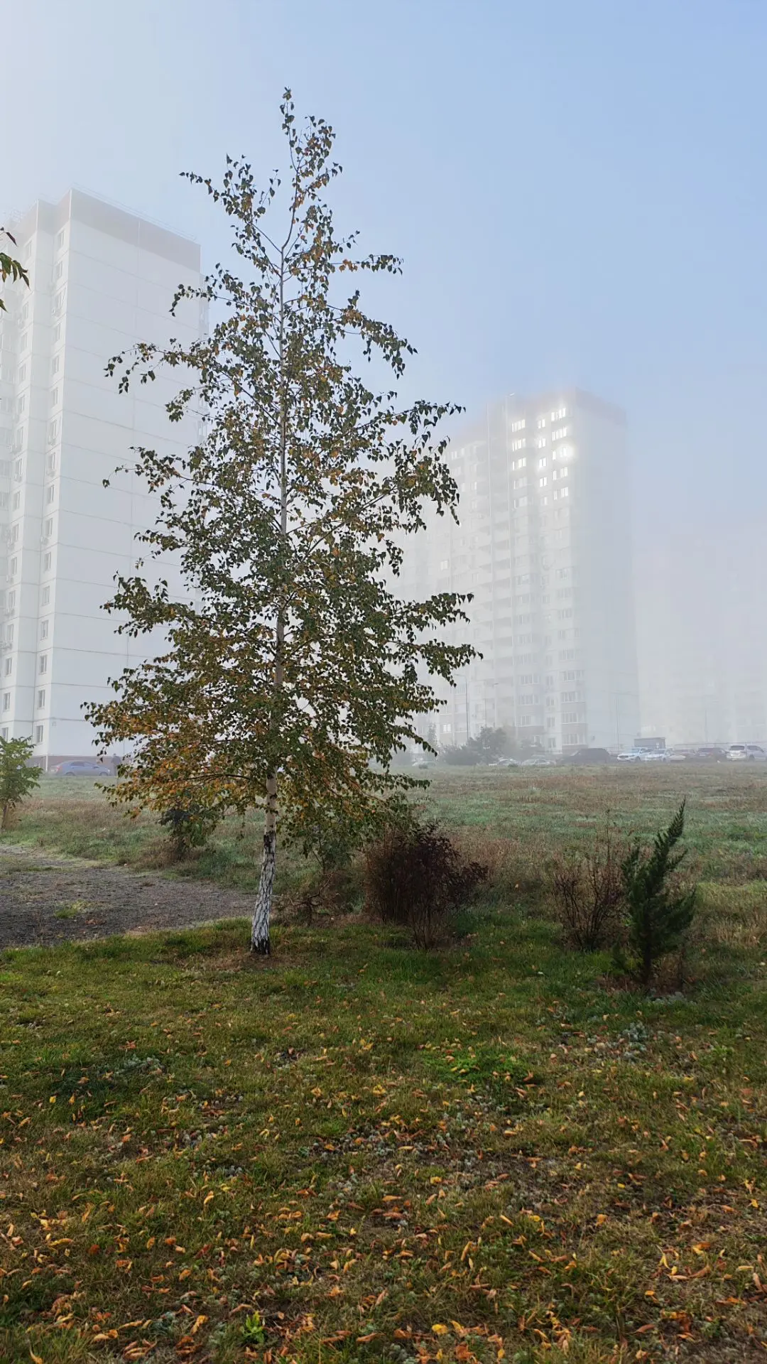 Красота Великого в малом.