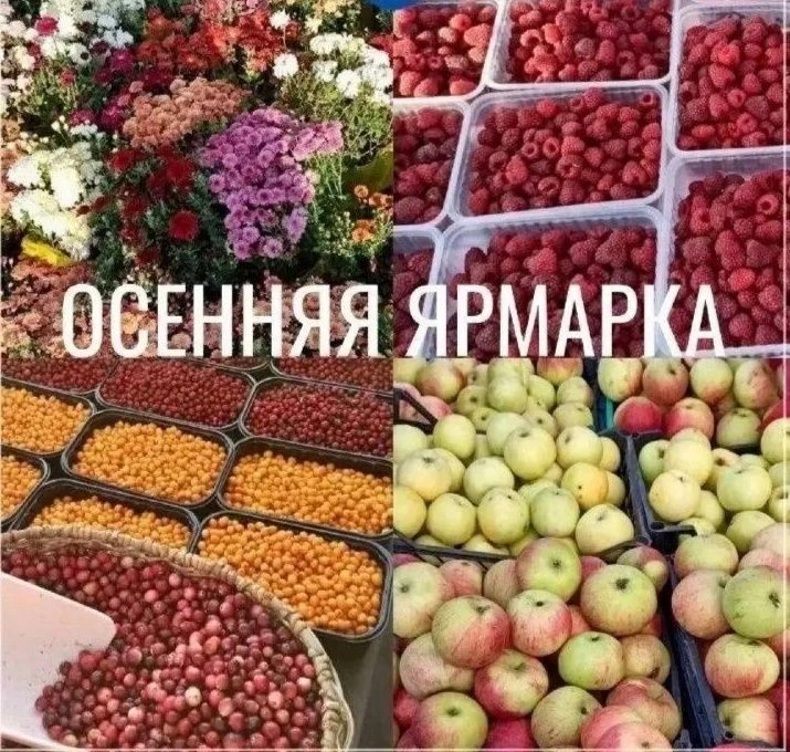 17 октября в районе дома №240 по проспекту Ленина с 9:00 до 16:00 пройдёт сельхозярмарка