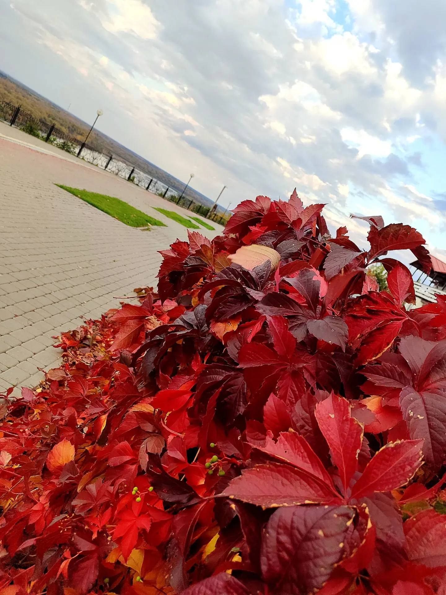 🌞Бабье лето в Серафимовиче