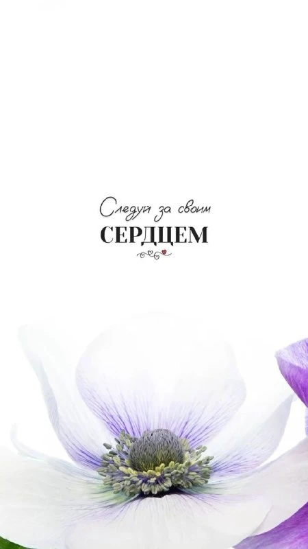 Открытки: подписаться ❤️