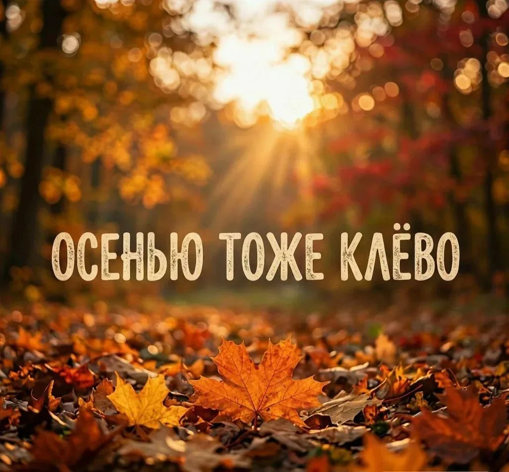 🍁 Осень в Тереклах — глазами жителей деревни