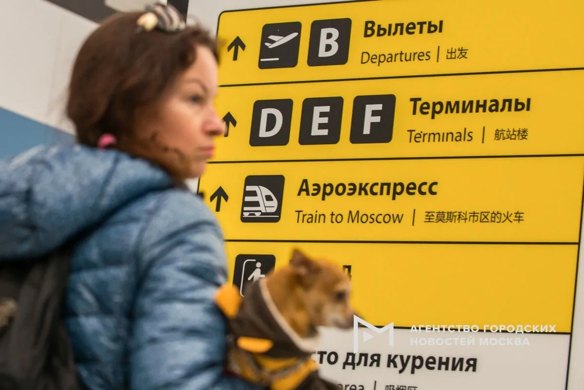 Общероссийское объединение пассажиров призывает унифицировать правила перевозки домашни...