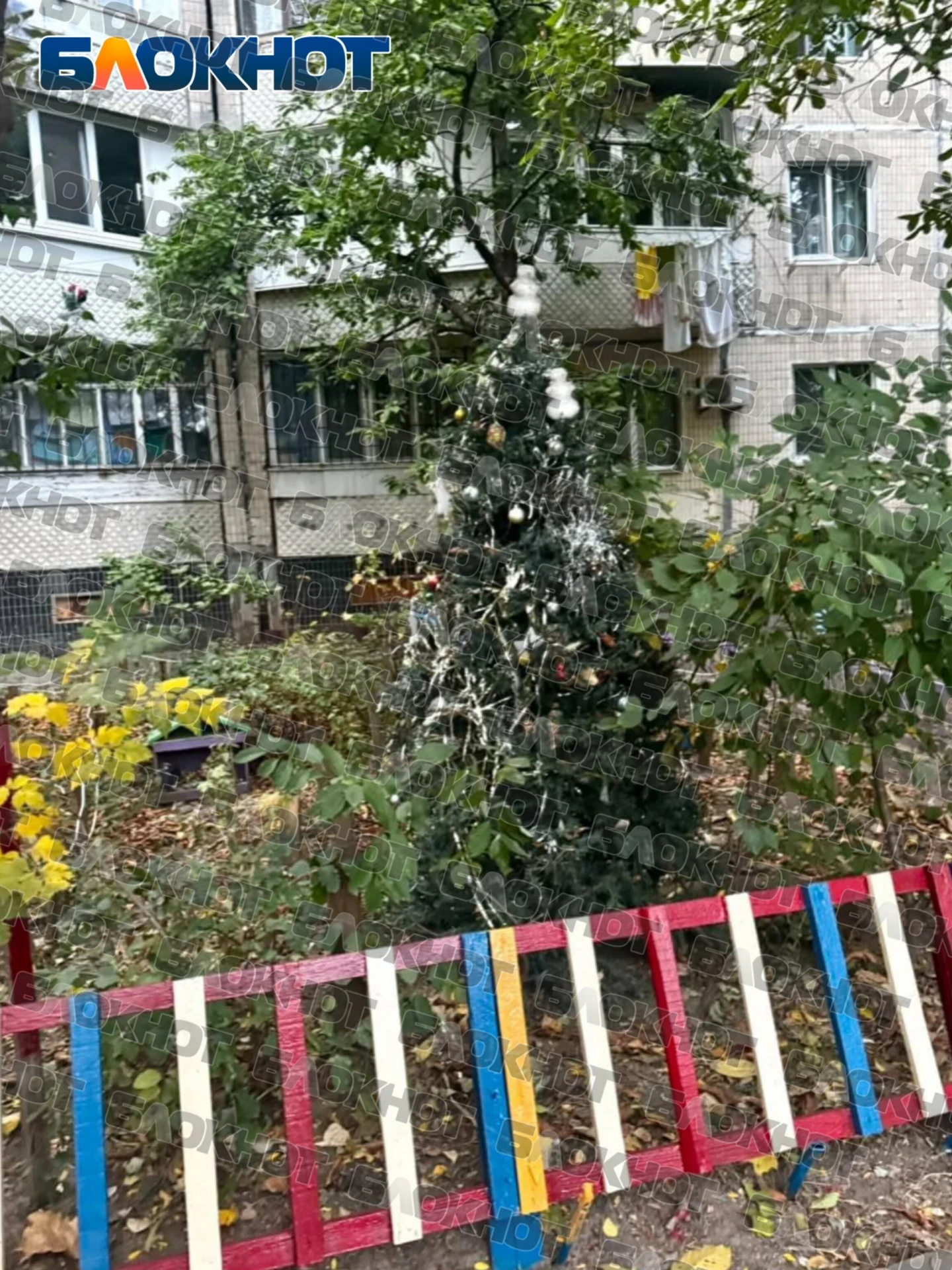 🎄 А тем временем одесситы готовятся к Новому Году
