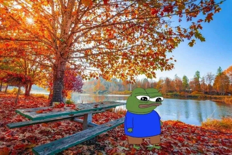 🍁 Бабье лето вернулось — до +24 ожидается на этой неделе в Самарской области.