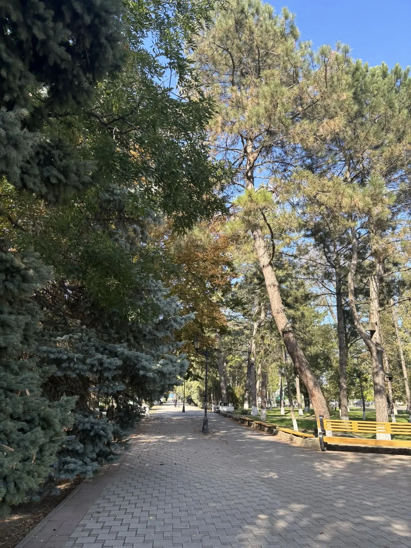 Доброе утро, Белоглинский район! 🌞🍂