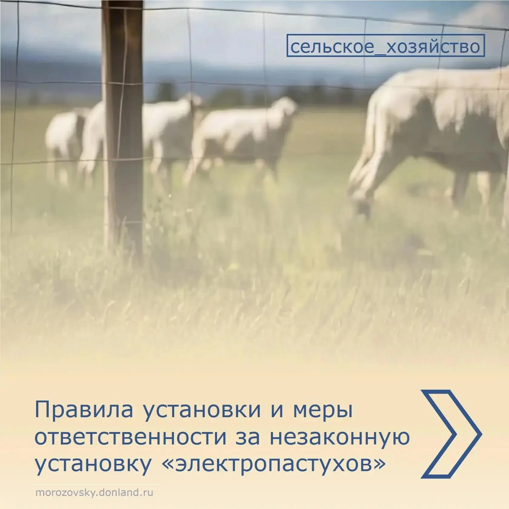 Устанавливать ограждения, включая электропастухи, можно только на своей земле — в собст...