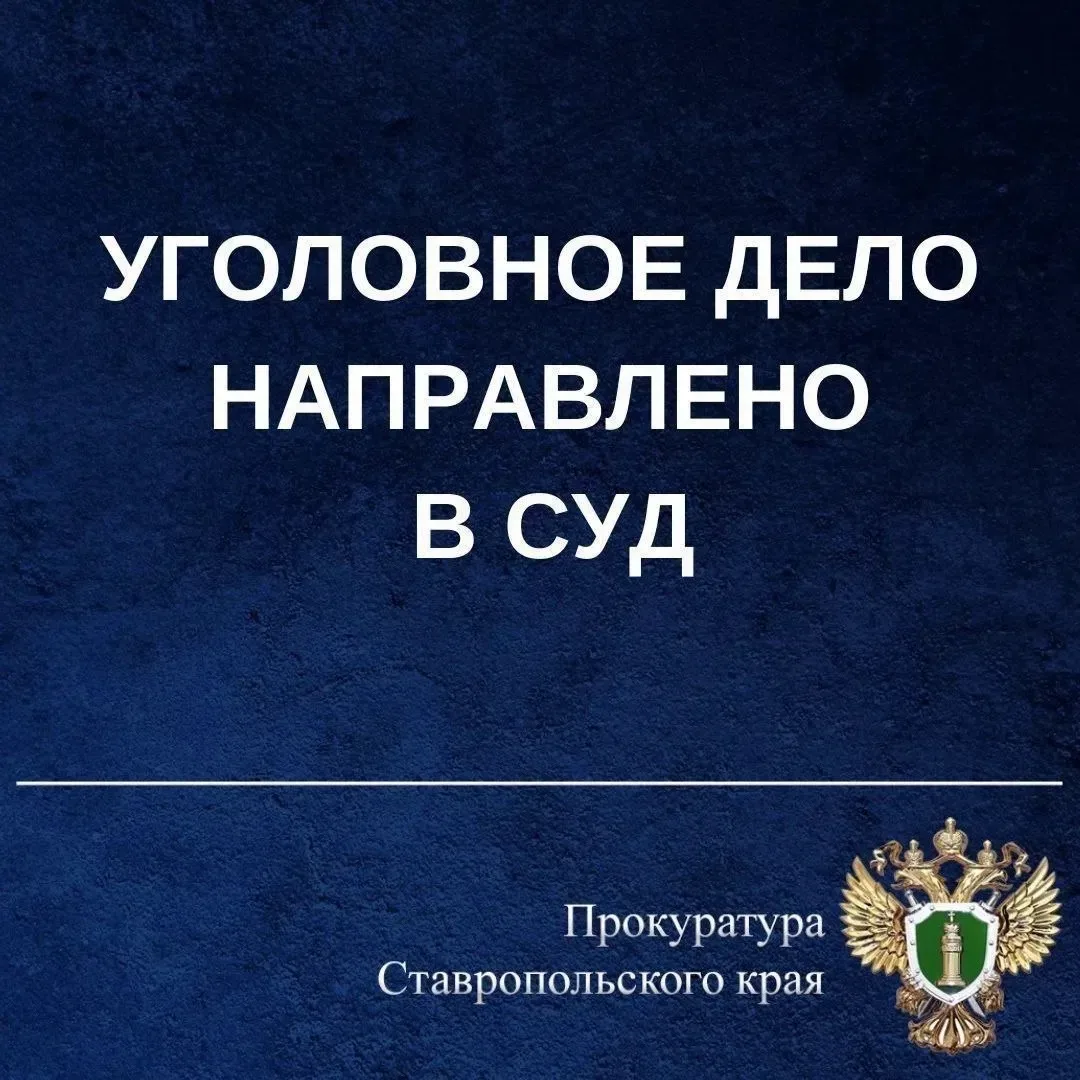 Женщина предстанет перед судом за причинение смерти своей внучке