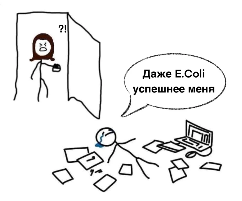 Самая хорошо изученная бактерия в мире — это E. Coli или кишечная палочка.