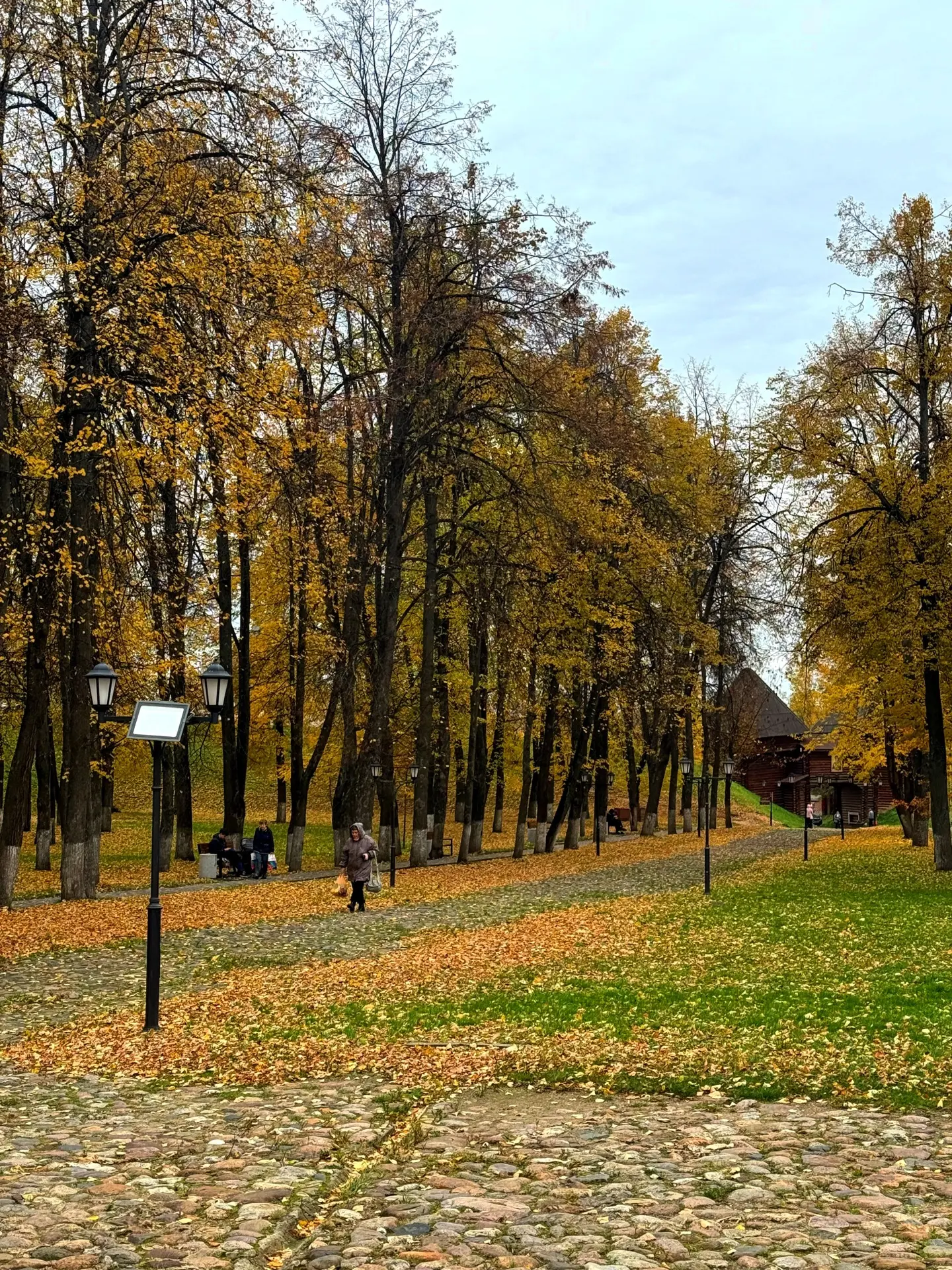 Какая красивая золотая осень 🍂❤️