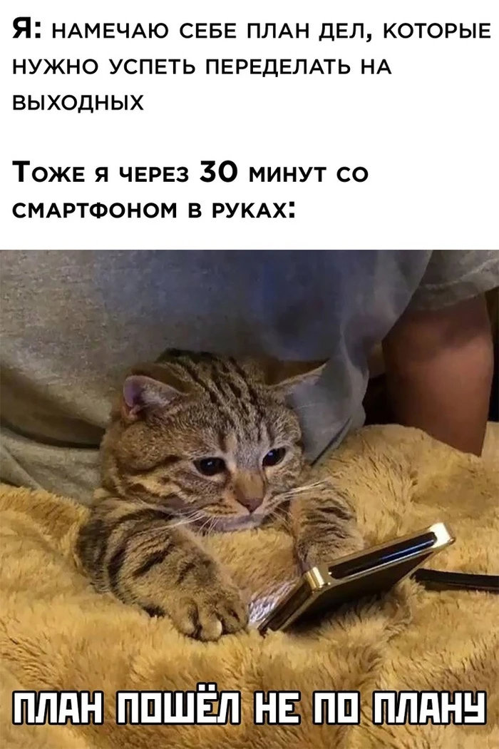 Так, всё. На этой неделе достаточно серьёзного 😂