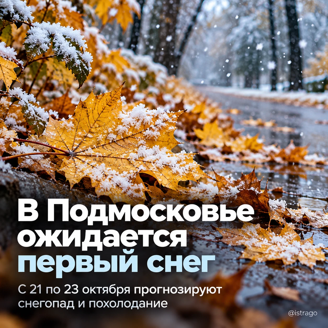 ❄️ Первый снег в Подмосковье ожидается после 20 октября