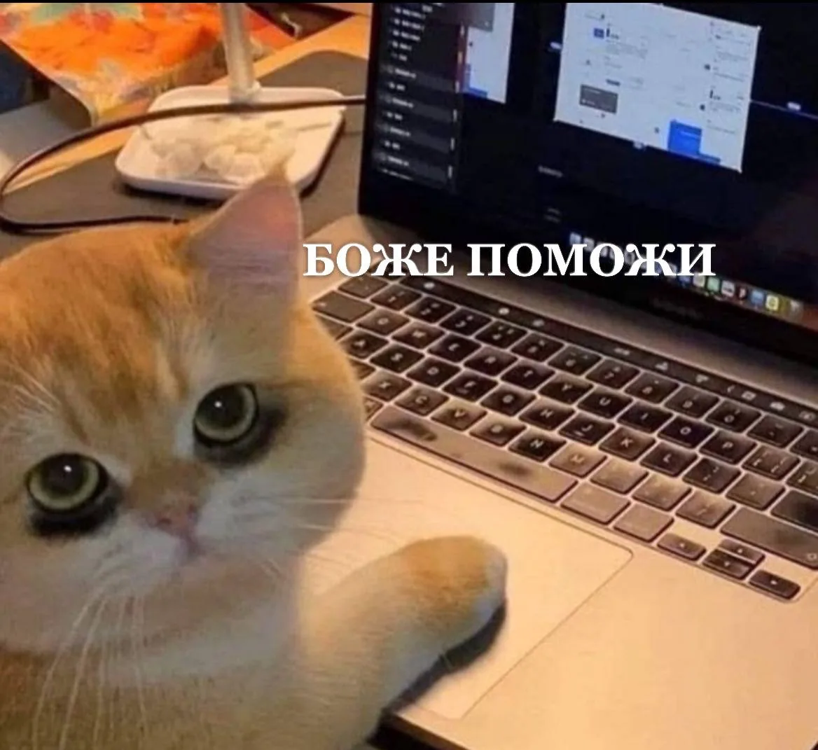 Доброе утро, друзья!