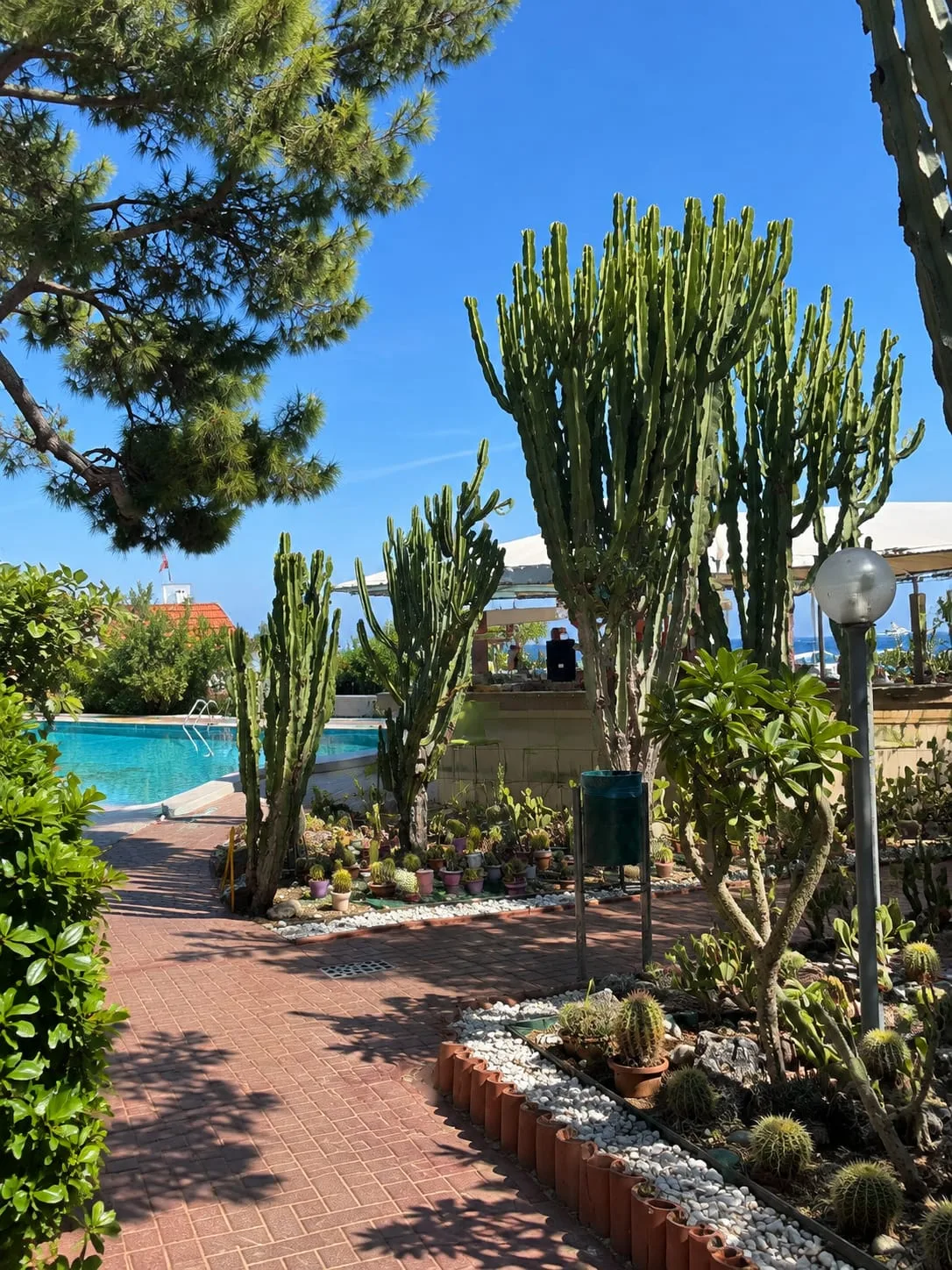 ДОБРОЕ УТРО, ДРУЗЬЯ! ☀️🌴