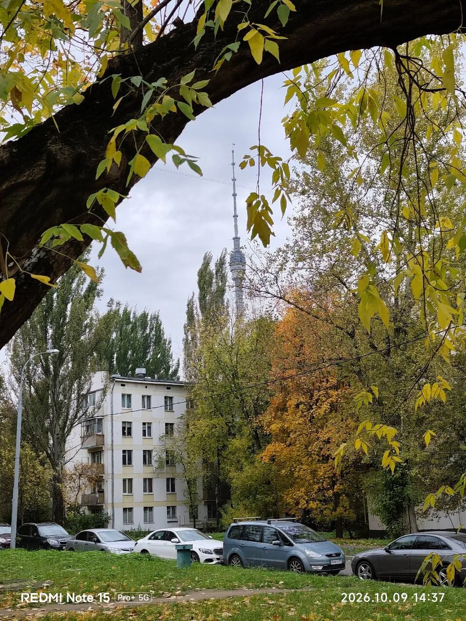 🍂Оказывается, накануне был День шуршания листьями. Есть и такой праздник!