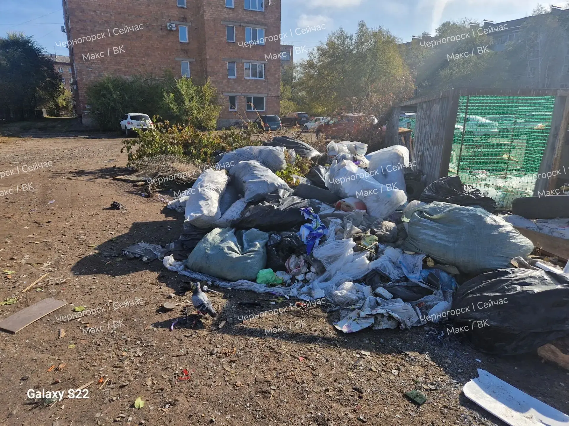 От подписчика: