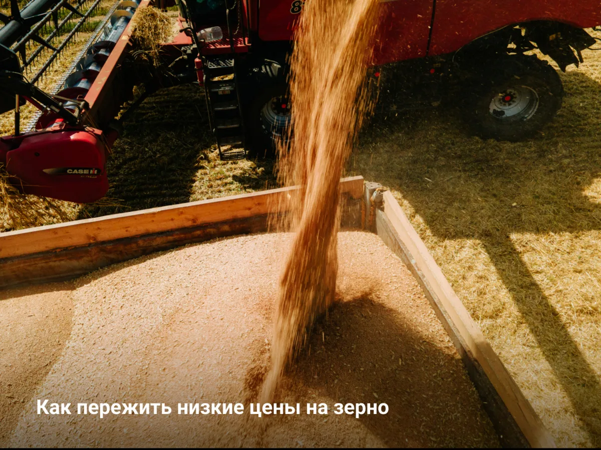 Как пережить низкие цены на зерно