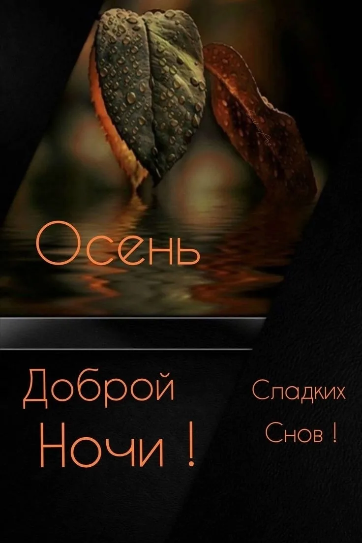 Предложить новость