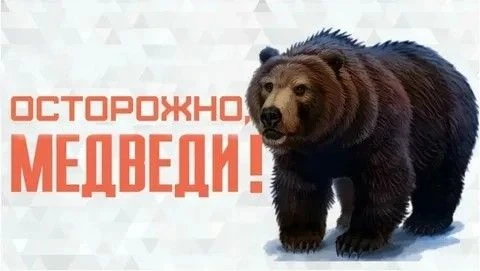 🌲 Памятка: «Медведь в поселке. Правила безопасности для жителей»