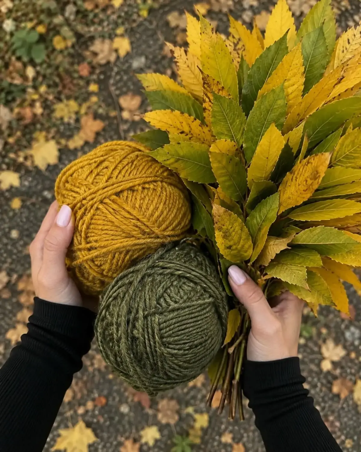 Доброе прекрасное утро 🤗🍁🍁🍁