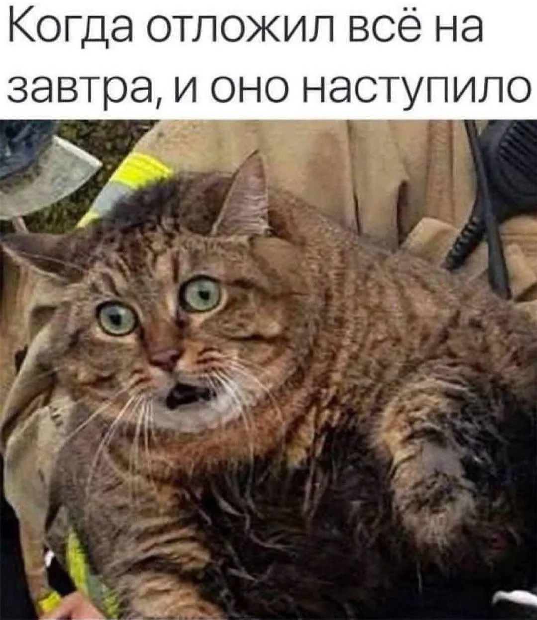 Как же так?