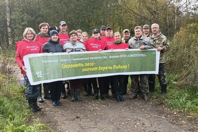 🌲 В Глинковском лесничестве высадили более 5 000 сеянцев ели!