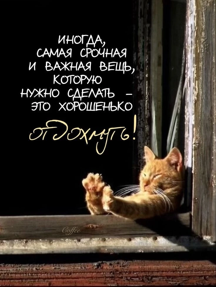 https://max.ru/se13912156_biz