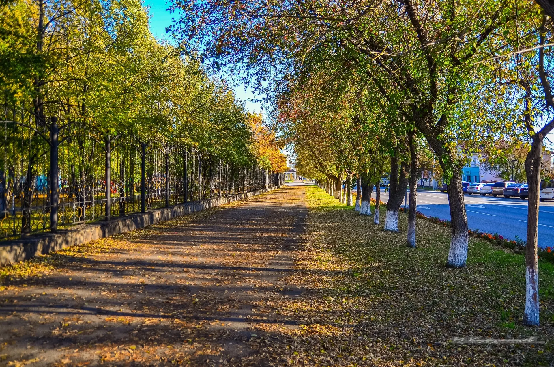 🍁🌾