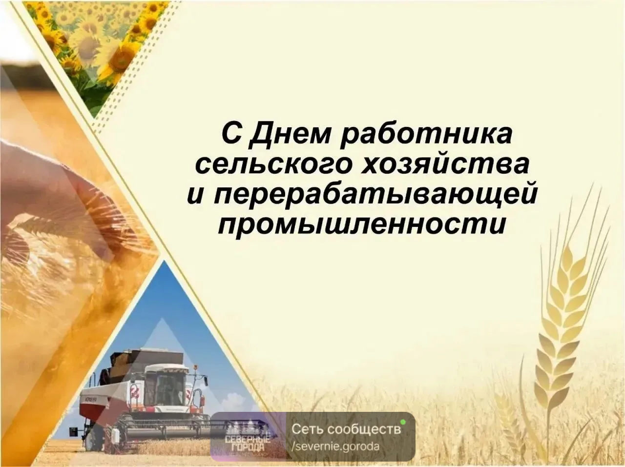 С ПРОФЕССИОНАЛЬНЫМ ПРАЗДНИКОМ