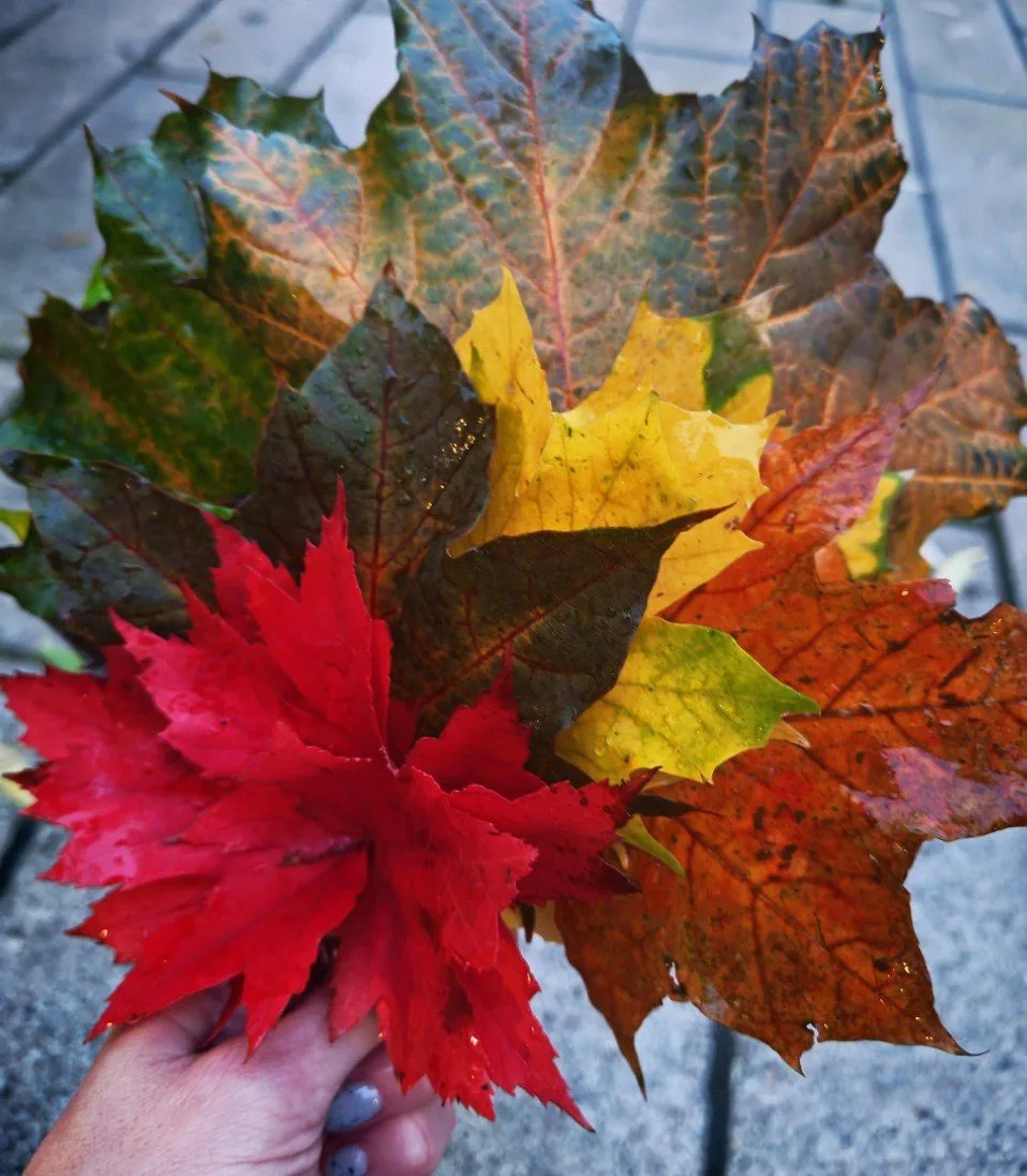 🍂 17-18 октября, куда сходить?