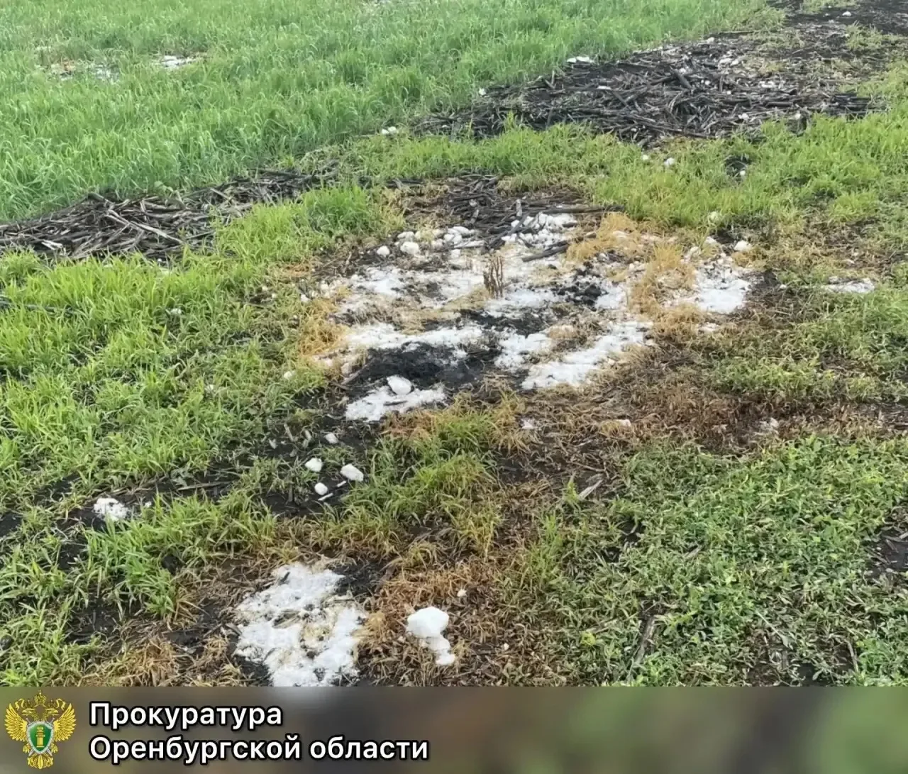 ⚖️ В Северном районе с владельца загрязнённого участка требуют взыскать более 300 тысяч...