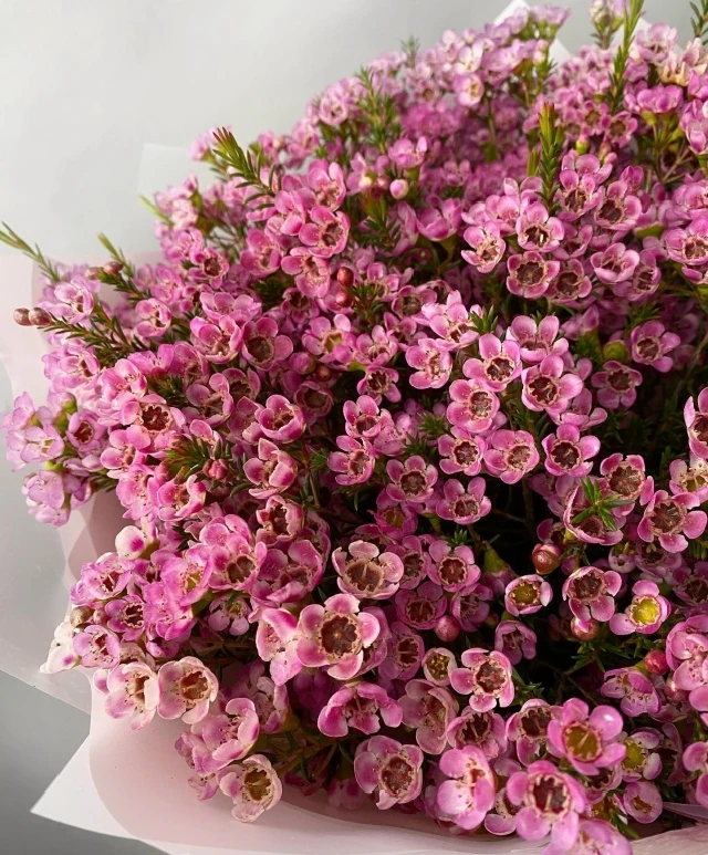 ‎💐Сегодня День Рождения отмечают наши замечательные заведующие Шудинским, Кугунурским ...