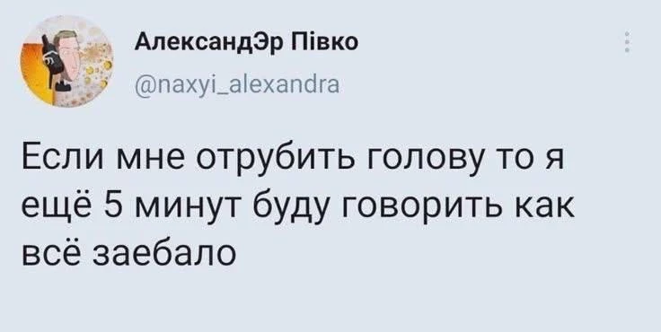 Подпишись на Кринжулю 👉🏻 в TG, в VK и в Макс