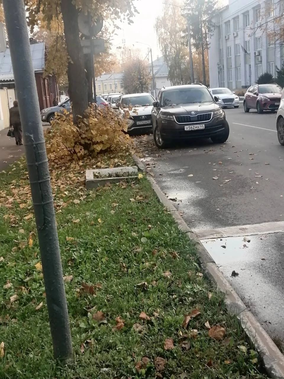 Паркуюсь как хочу