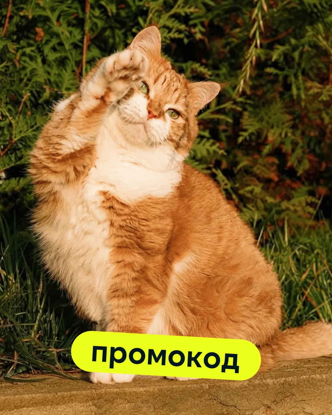 ВРУМММ, пятница подъехала!