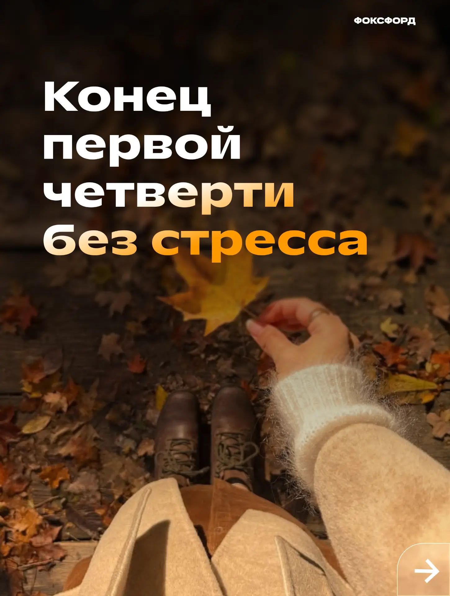 Бесплатные материалы для школ и детских садов 💻