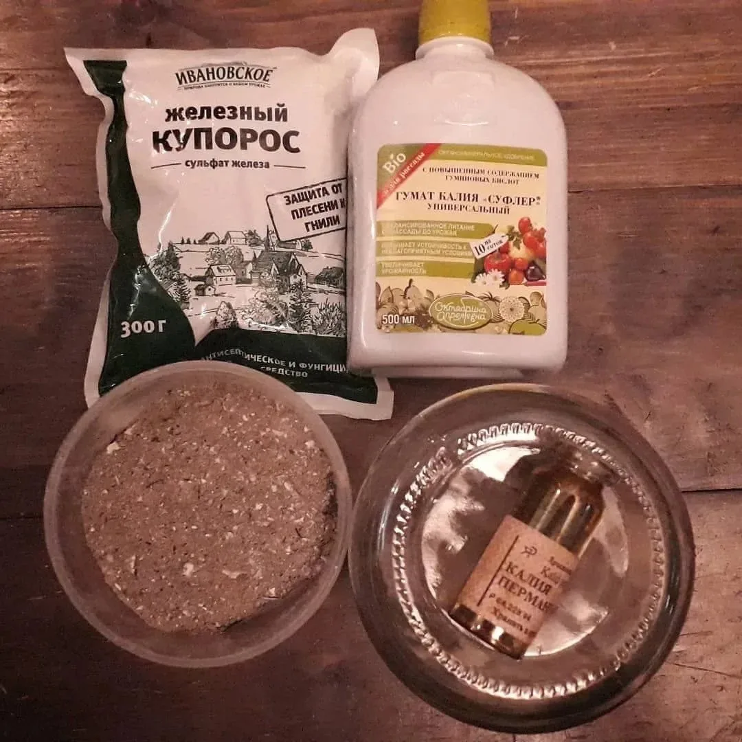 🧄🧄🧄ЧЕСНОК: