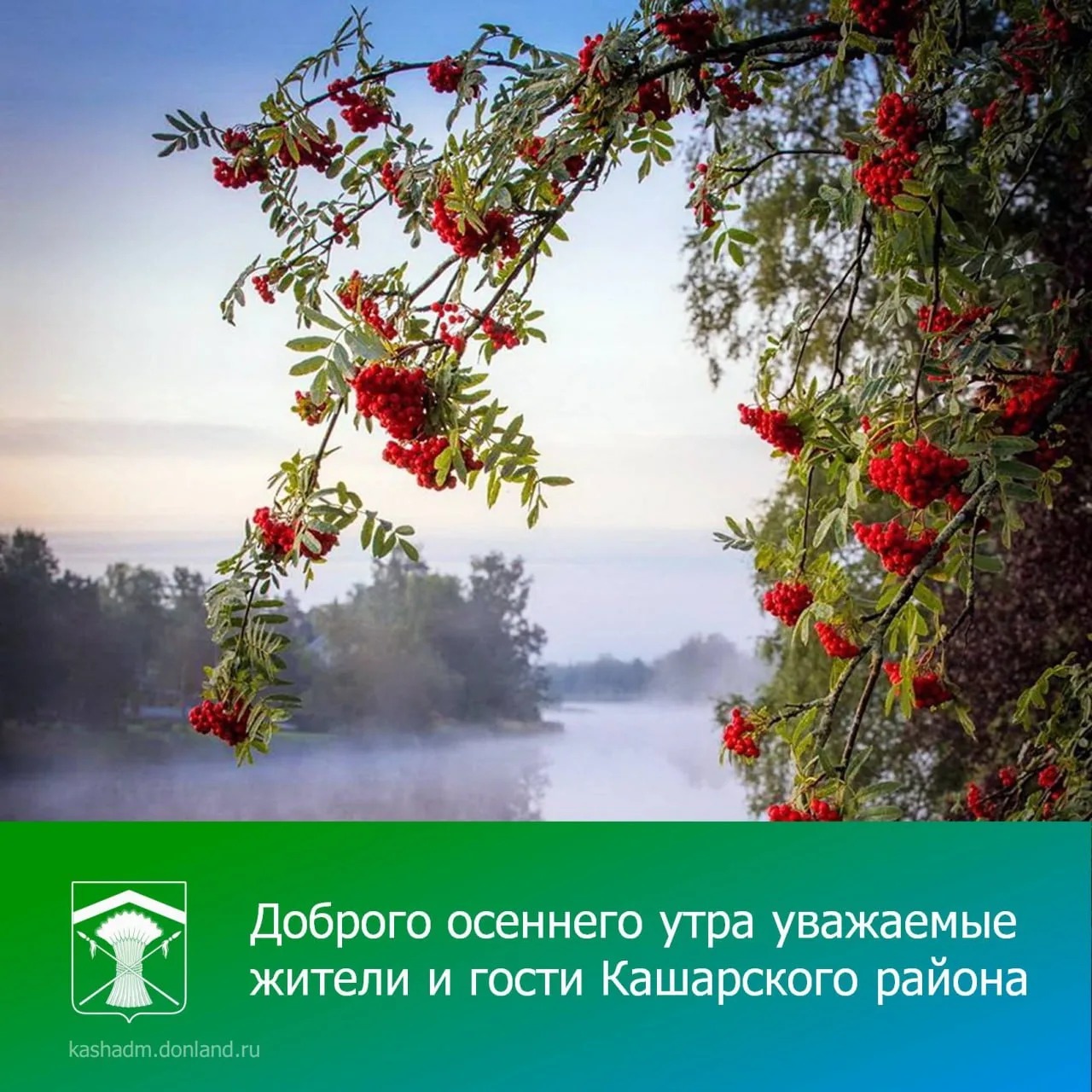 Доброе утро.