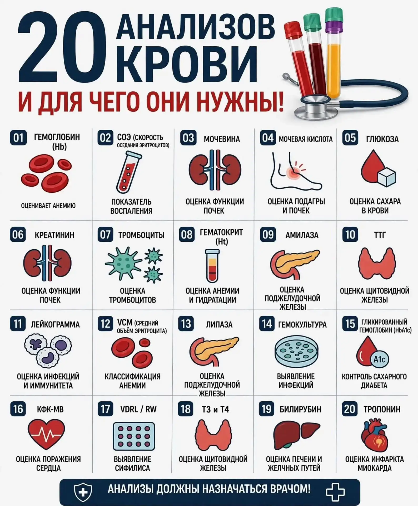 2️⃣0️⃣ анализов крови и для чего они нужны!