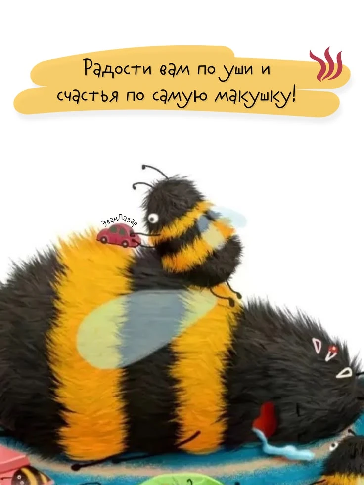https://max.ru/invista123456