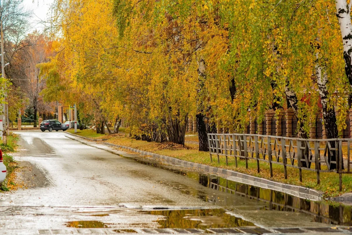 🍂 Рубрика «Доброе утро»