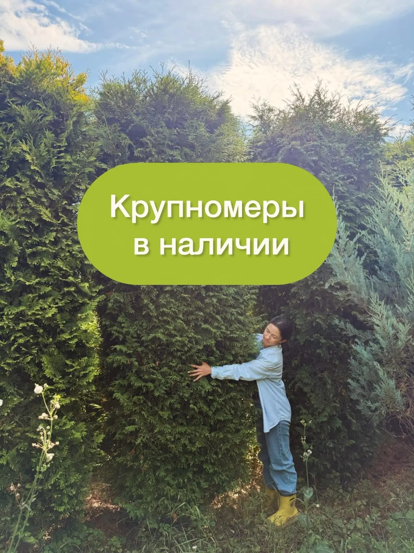 Еще немного наших крупномеров!  Если вам нужны взрослые экземпляры- приезжайте 🤗