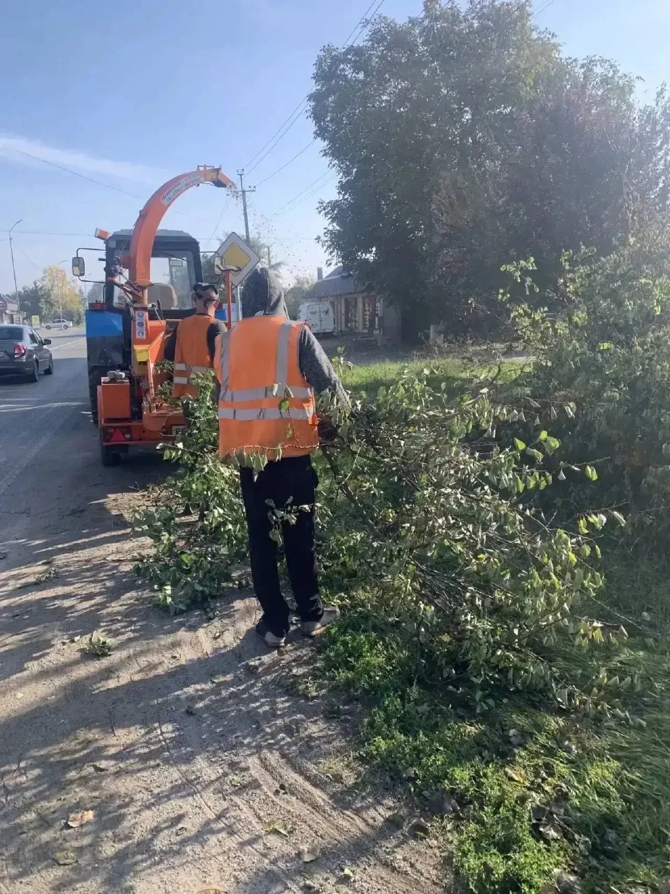 🚦 Безопасность на дорогах начинается с хорошей видимости! 🌿