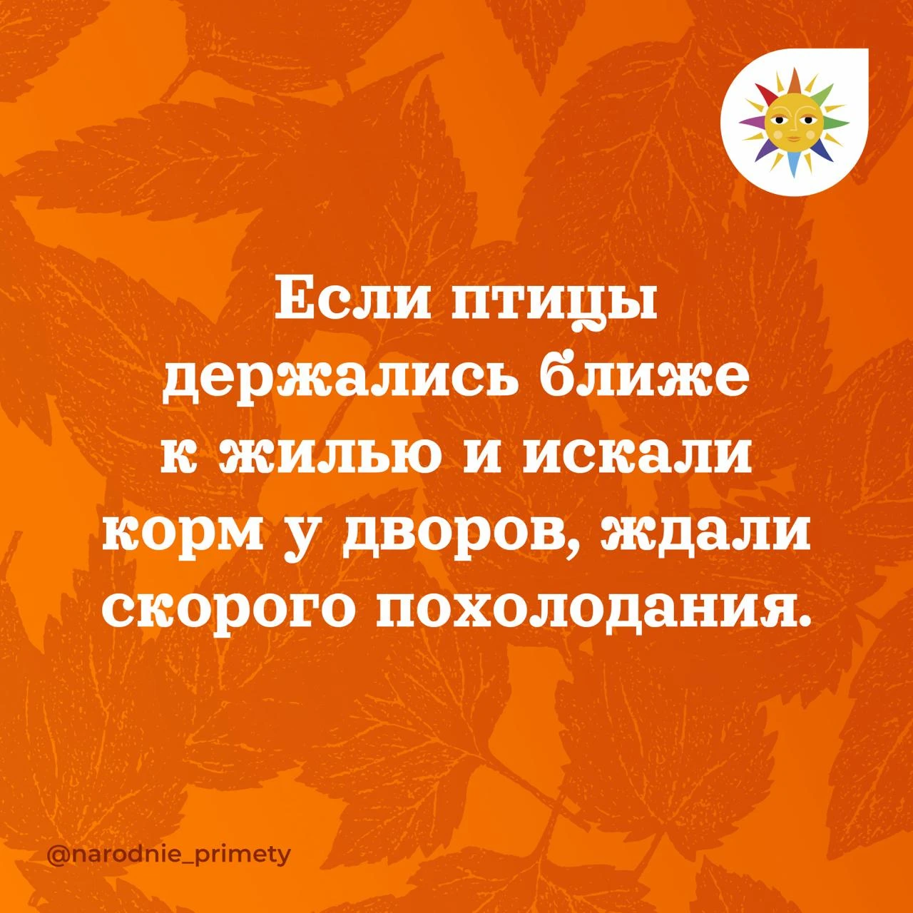 🌞Народные приметы