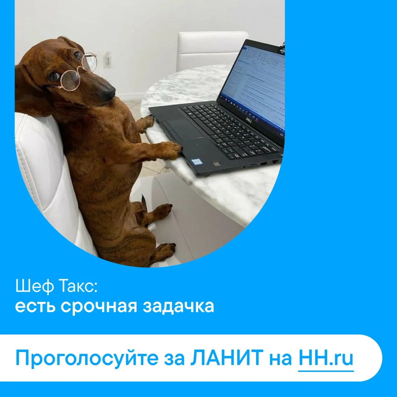 Мы участвуем в Рейтинге работодателей России по версии HeadHunter, и нам нужна ваша под...
