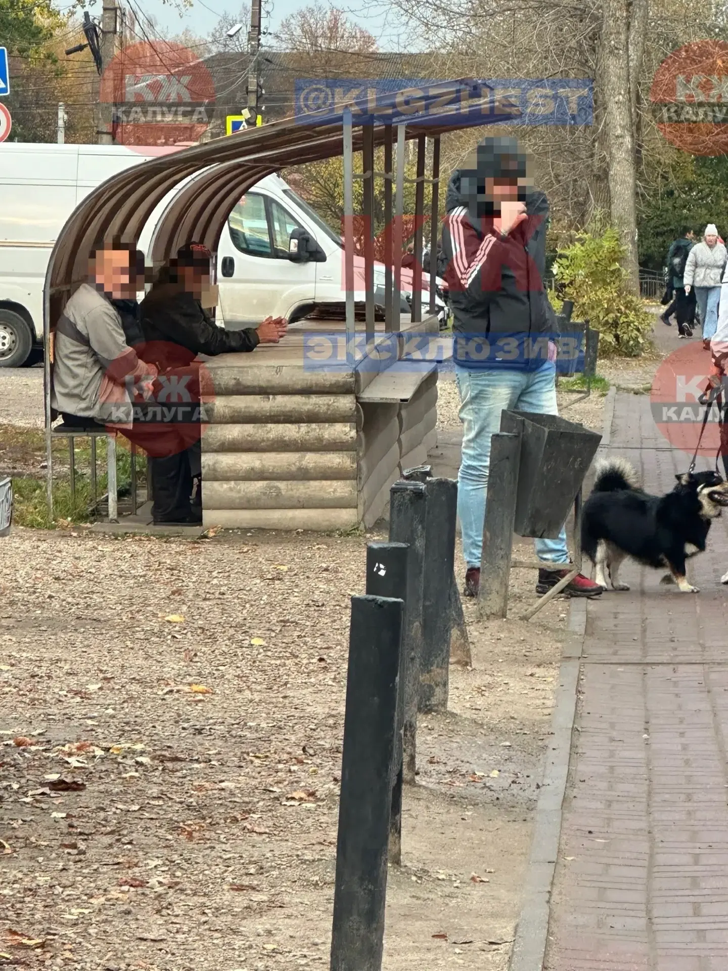 Доброе утро , мини-рынок на малинниках