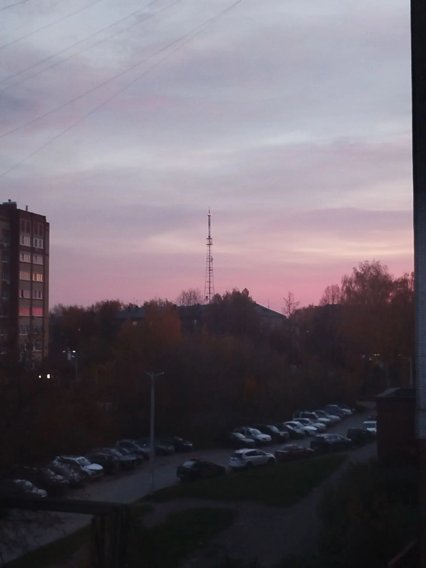 Добраутра, счастливчики ☕🍁🐾👣