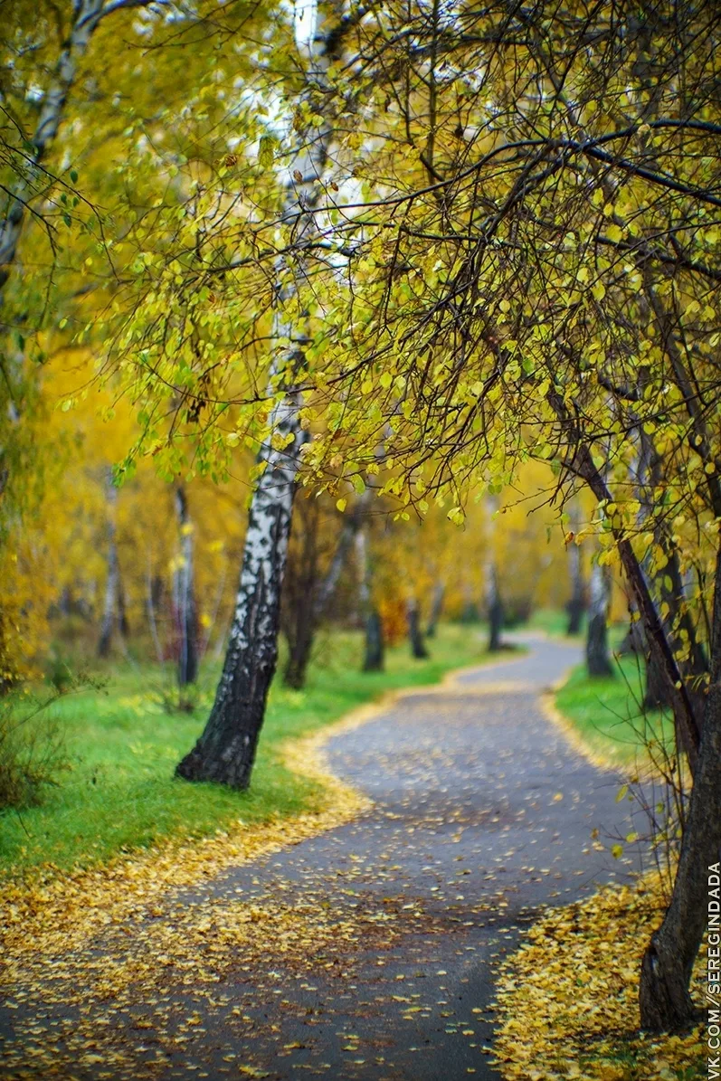 Фото: Серегин Да-Да