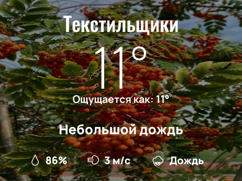 Что с погодой в Текстильщиках?