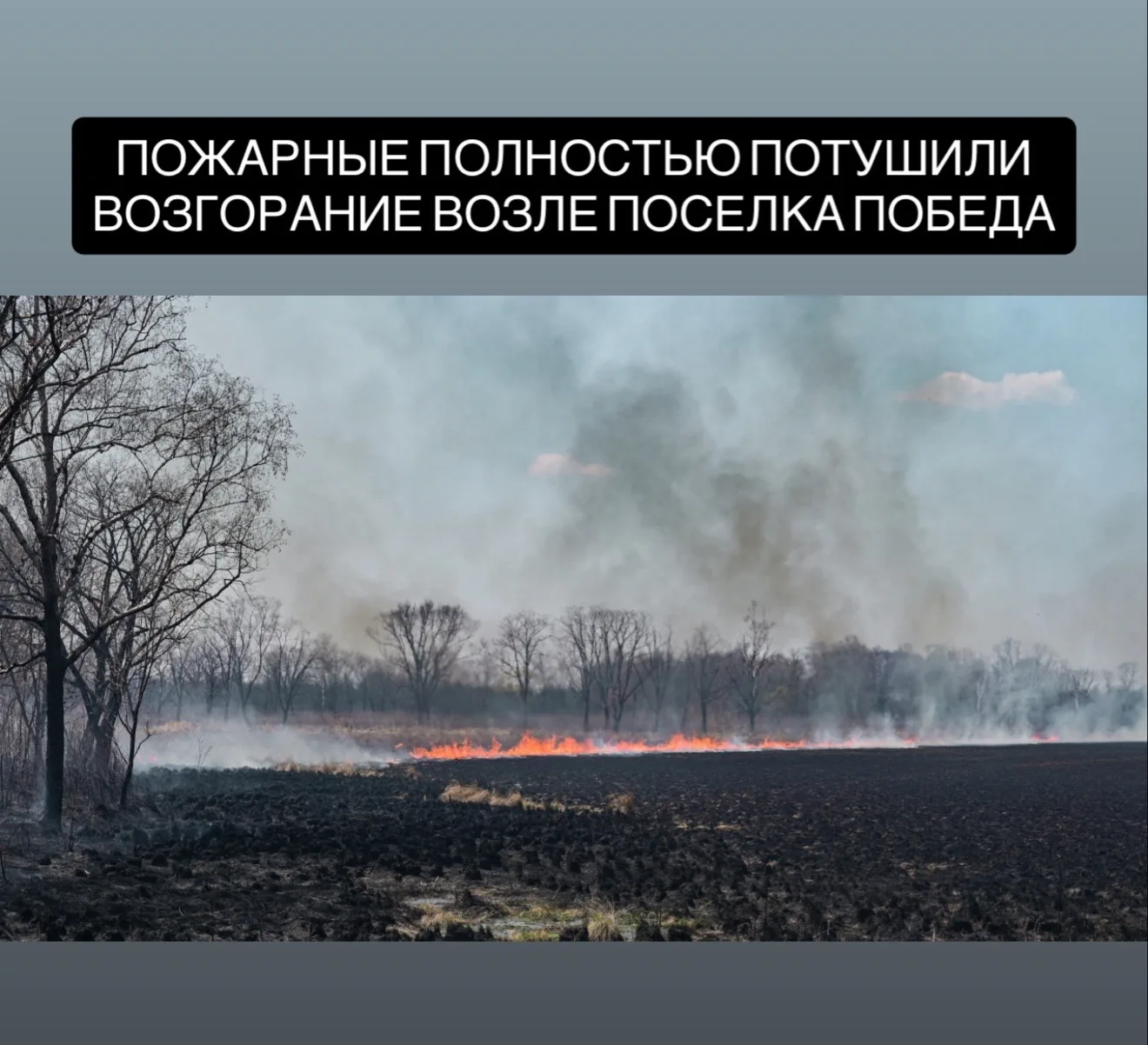 Лесной пожар у поселка Победа в Хабаровском районе ликвидировали